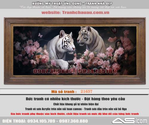 21657B-F3-1757749173.jpg