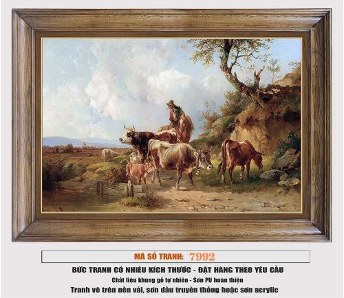 7992B-C1-1757471489.jpg
