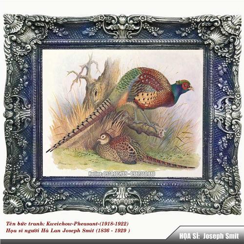 Kweichow-Pheasant-1918-1922-Z1-1757743861.jpg