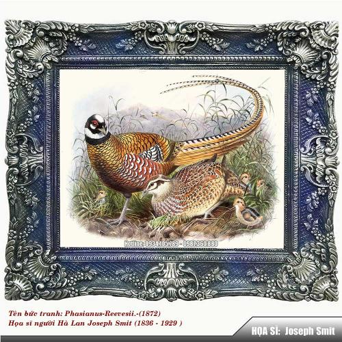 Phasianus-Reevesii-1872-Z1-1757743867.jpg