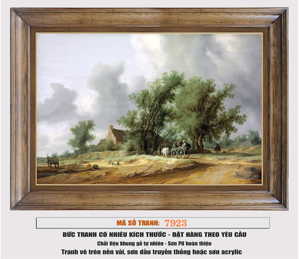 7923B-C1-1757471482.jpg