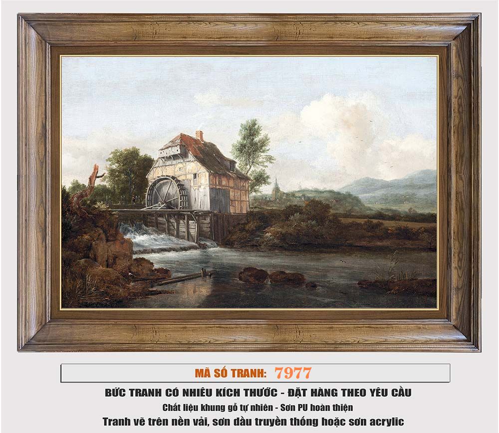 7977B-C1-1757471486.jpg