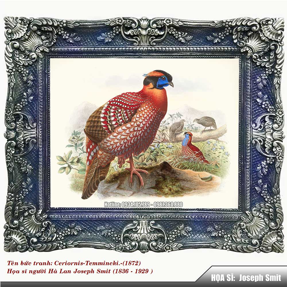 Ceriornis-Temmincki-1872-Z1-1757743854.jpg
