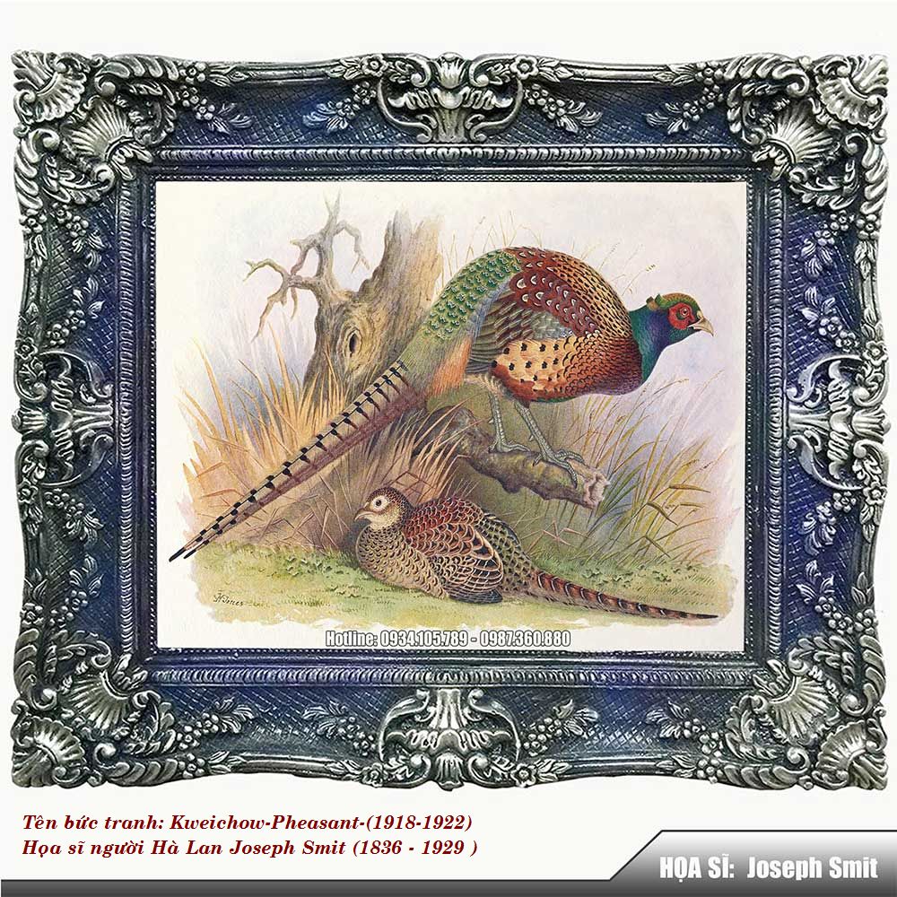Kweichow-Pheasant-1918-1922-Z1-1757743861.jpg